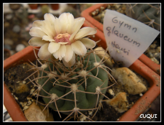 DSCN3849.JPG