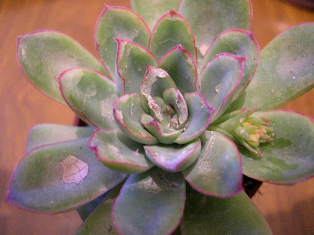 DSCN3855.JPG