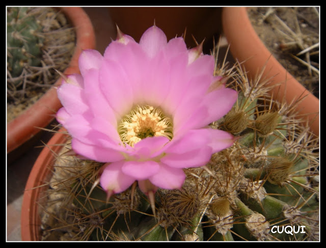 DSCN3874.JPG