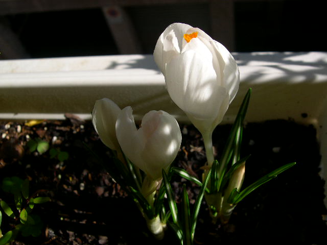 DSCN3881.JPG