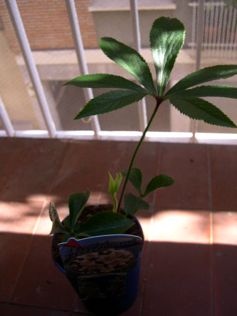 DSCN3887.JPG