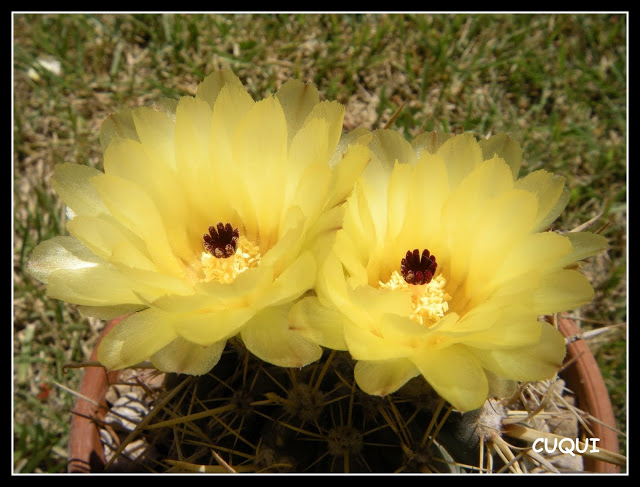 DSCN3887.JPG