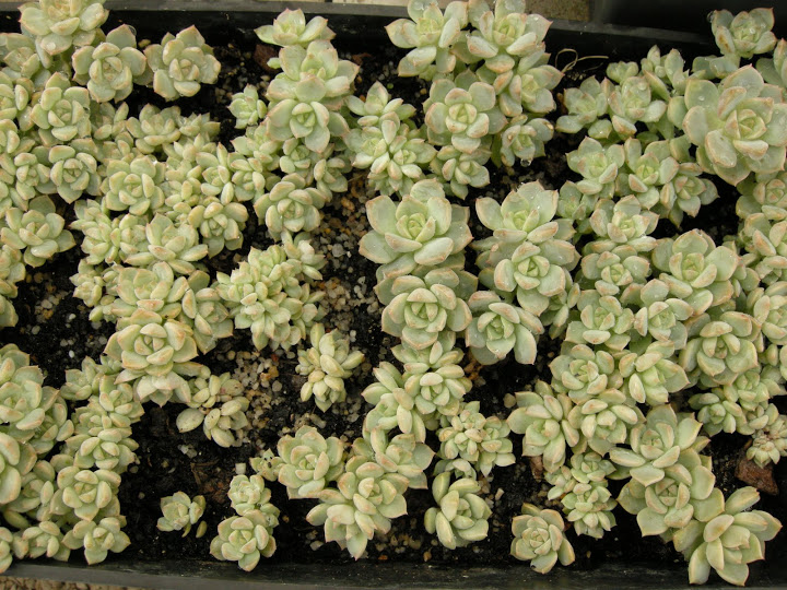 DSCN3891.JPG
