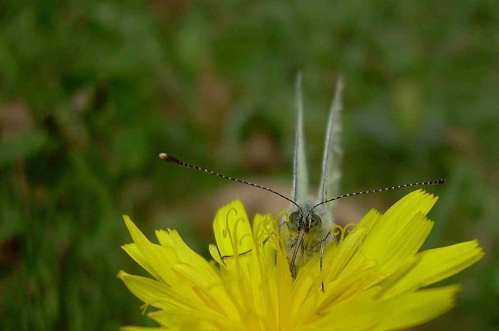 DSCN3897.jpg