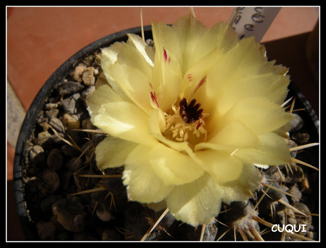 DSCN3900.JPG