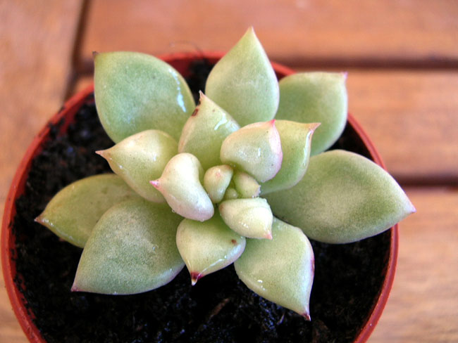 DSCN39791.JPG