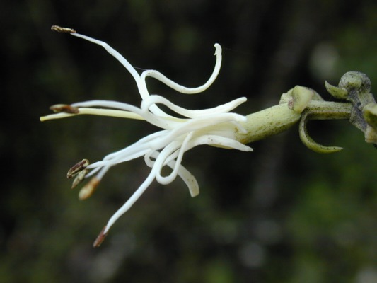 DSCN3997.JPG