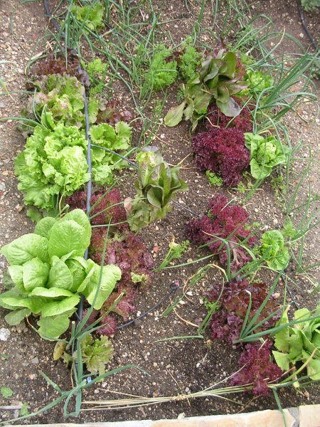 DSCN4029.JPG