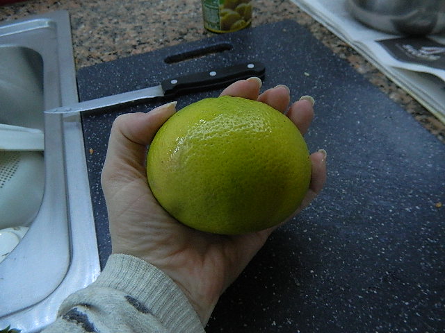 DSCN4118.jpg