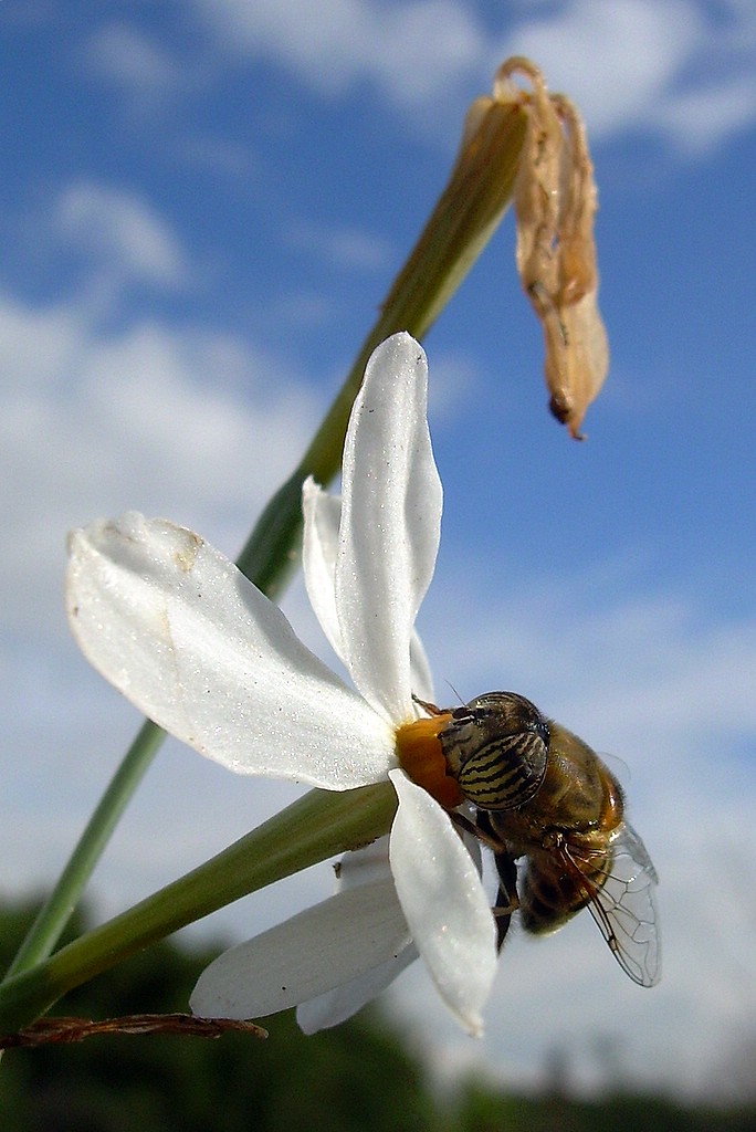 DSCN4143.jpg