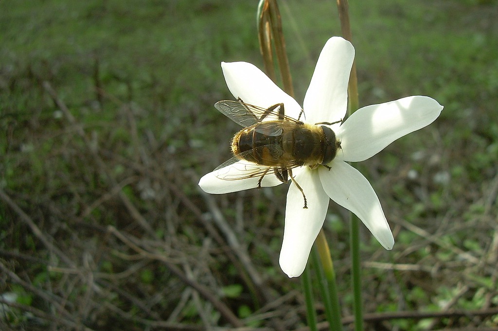 DSCN4154.jpg