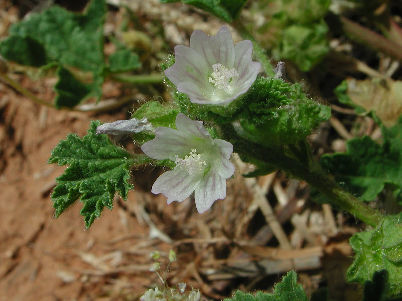 DSCN4301.JPG
