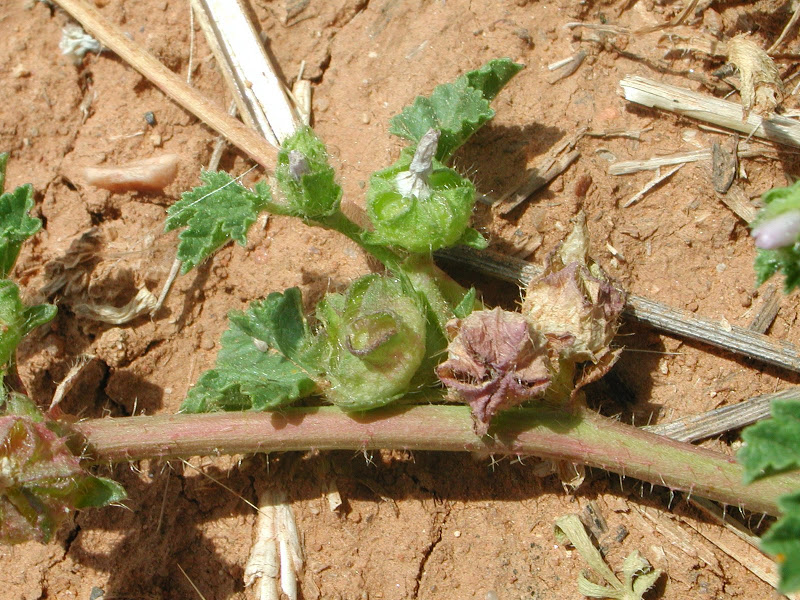 DSCN4303.JPG