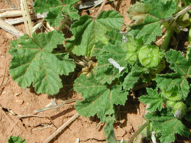 DSCN4304.JPG