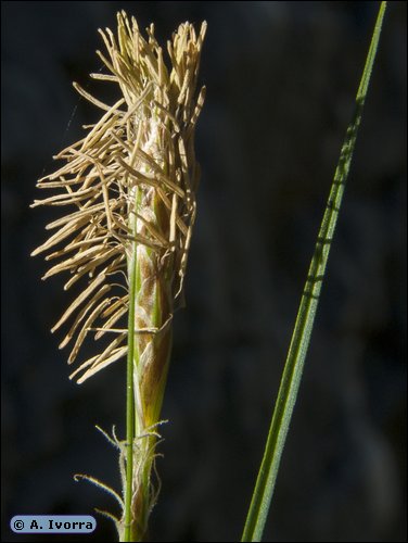 DSCN4306.jpg