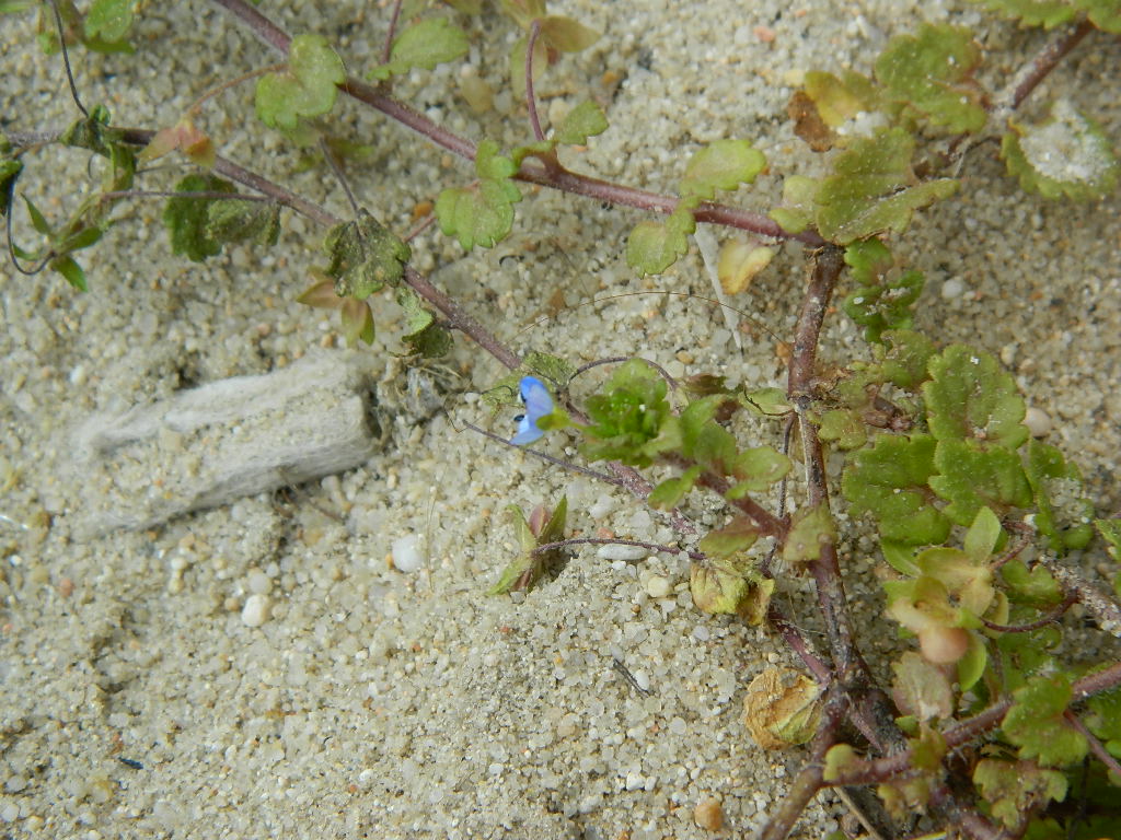 DSCN4468.jpg