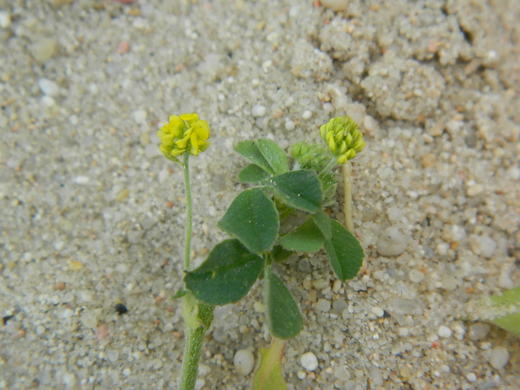 DSCN4469.jpg
