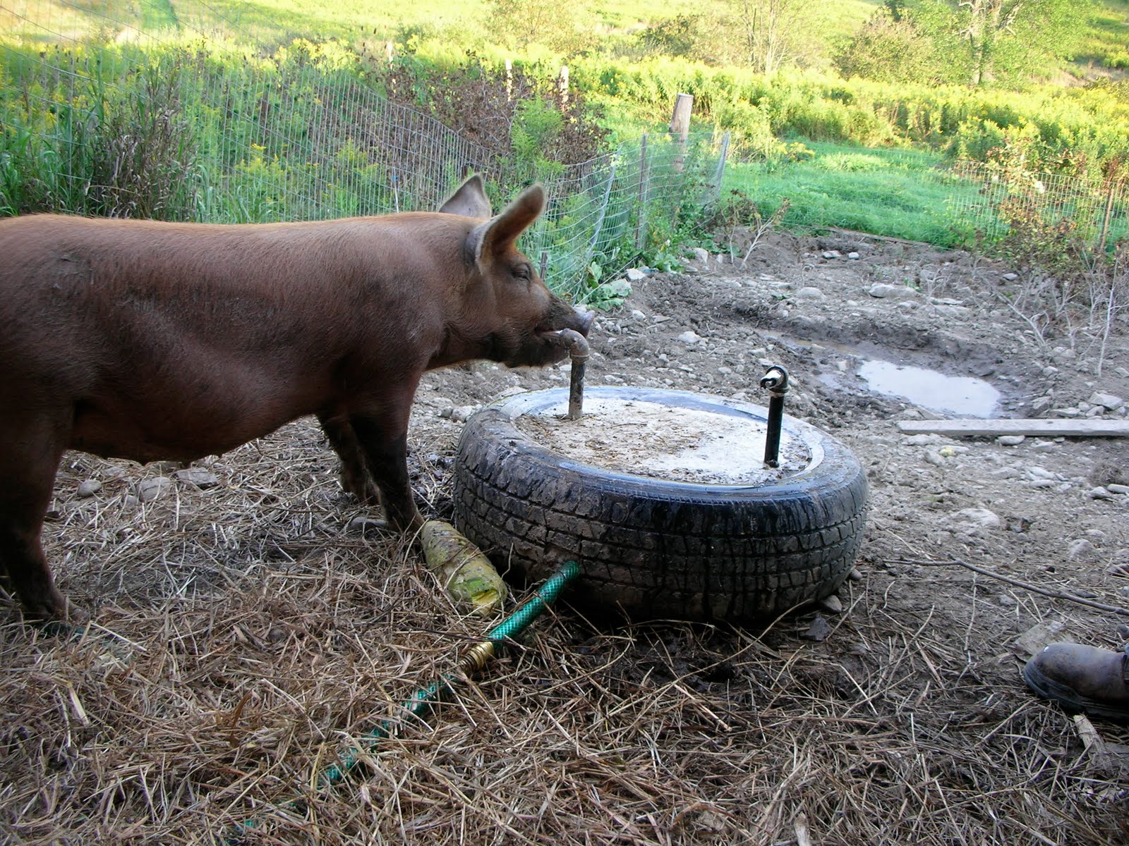 DSCN4552.JPG
