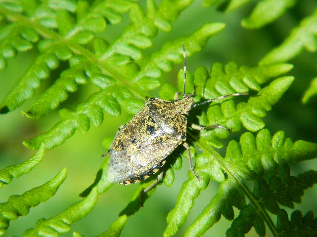 DSCN4566.jpg
