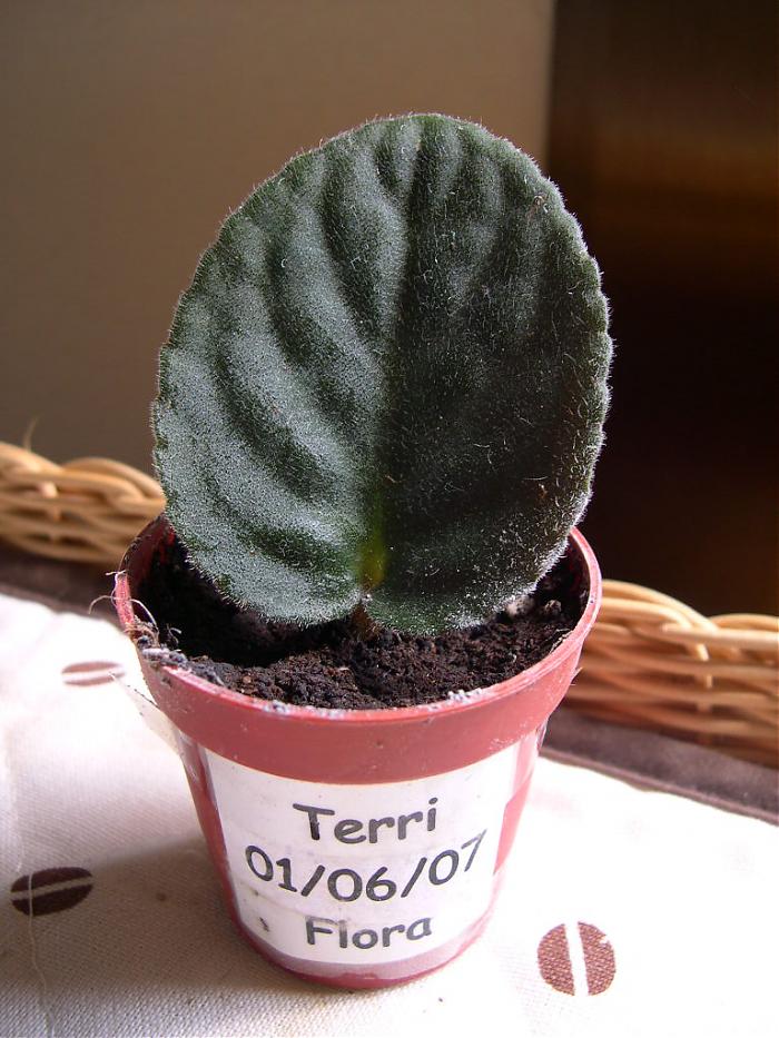 DSCN4574.jpg