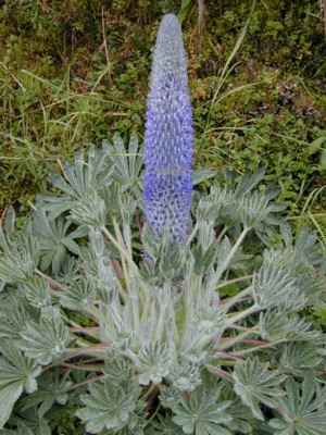 DSCN4589.JPG