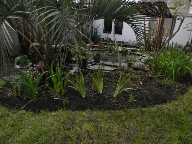 DSCN4598.jpg