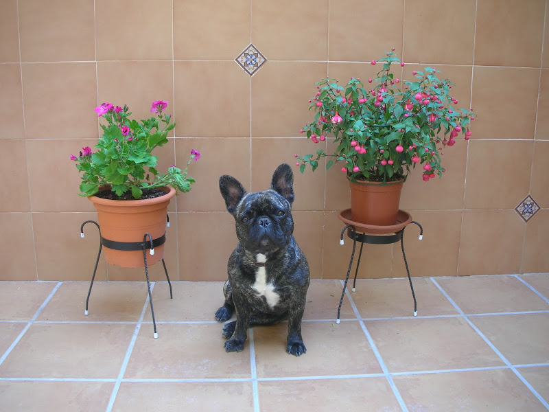 dscn4607.jpg