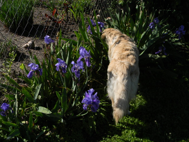 DSCN4608.jpg