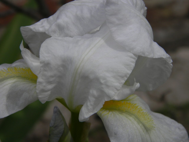 DSCN4621.jpg