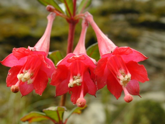 DSCN4632.JPG