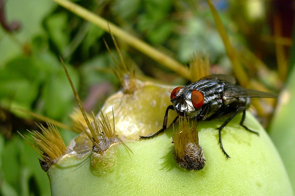 DSCN4655.jpg