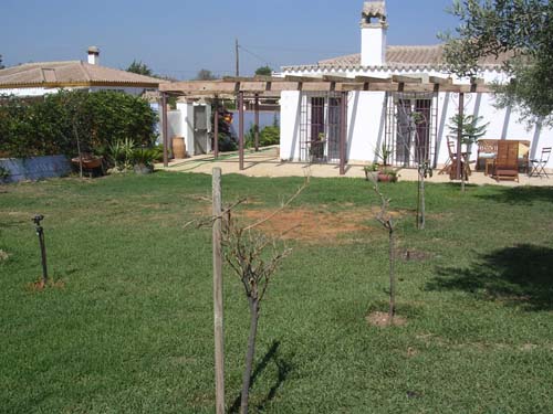 DSCN4705.JPG