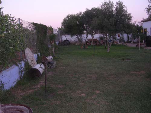 DSCN4713.JPG