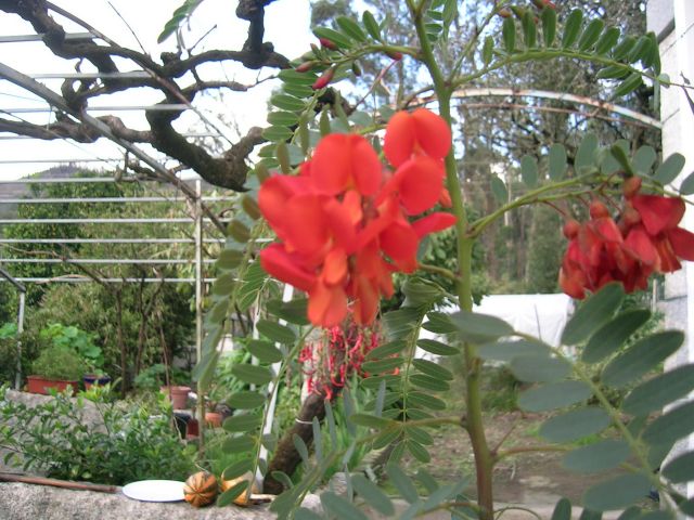 DSCN4752.jpg