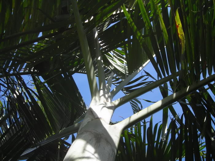 DSCN4775_redimensionar.jpg