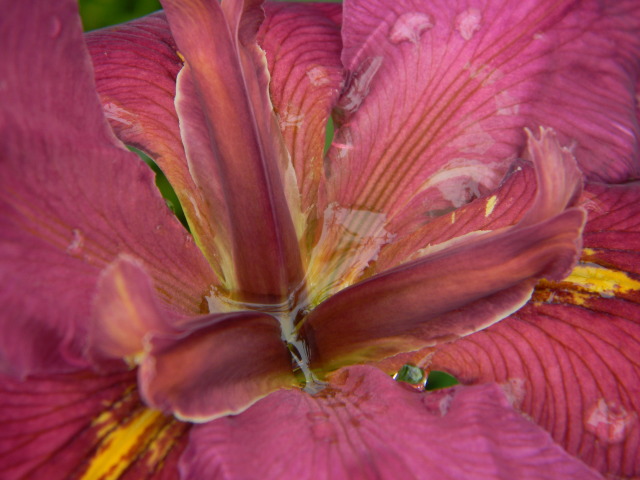 DSCN4838.jpg
