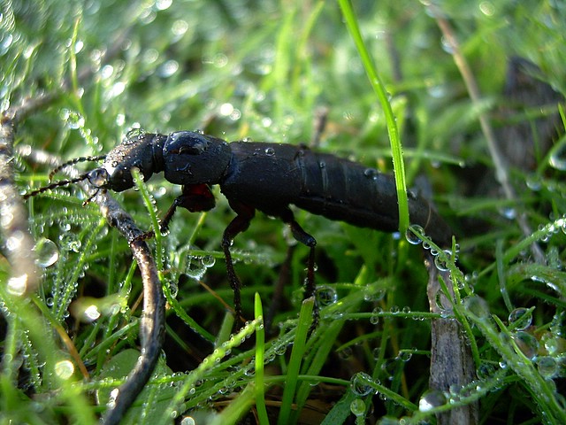 DSCN4846.JPG