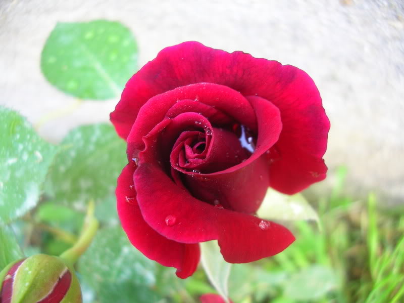 DSCN4848.jpg