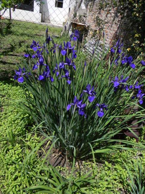 DSCN4863.jpg