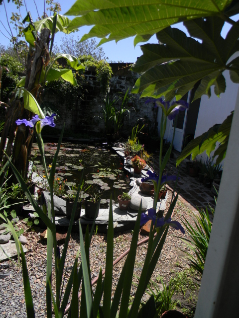 DSCN4865.jpg