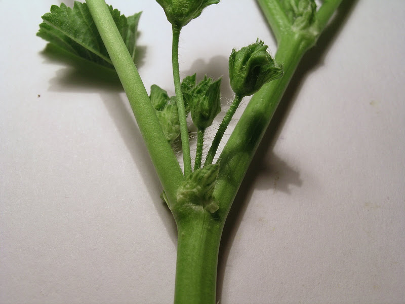 DSCN4873.JPG