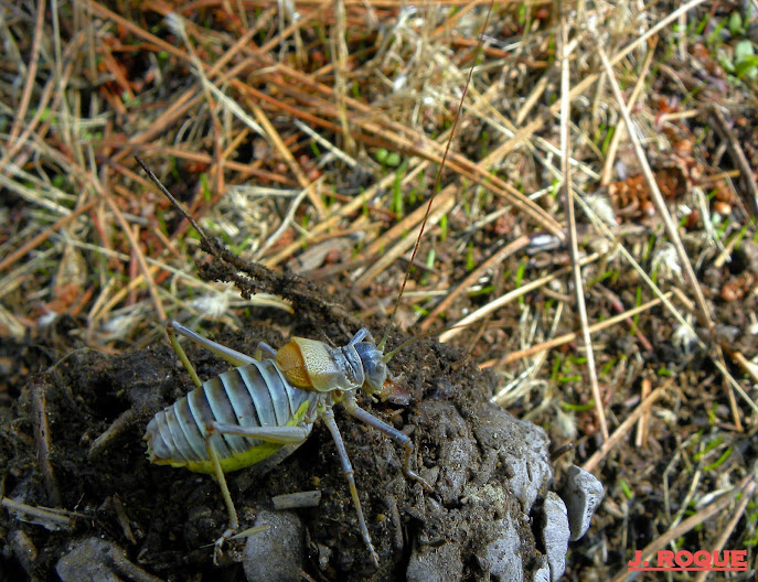 DSCN4888.JPG