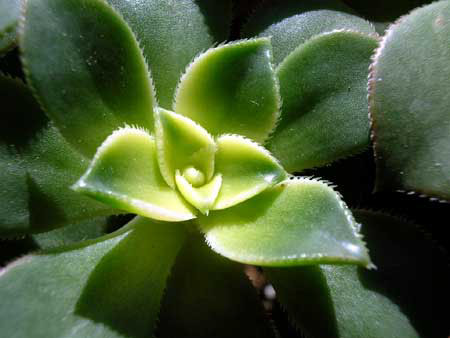 DSCN4898.JPG