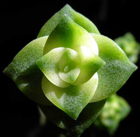 DSCN4899.JPG