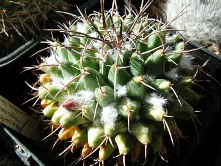 DSCN4912.JPG