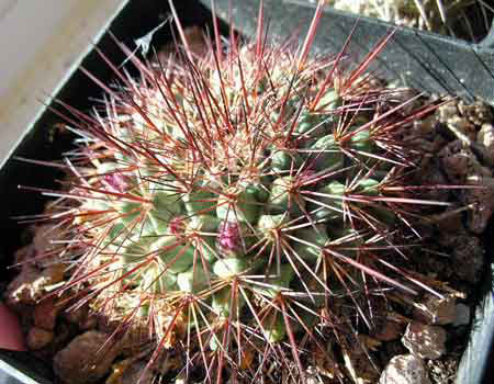 DSCN4913.JPG