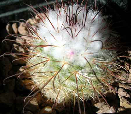 DSCN4915.JPG