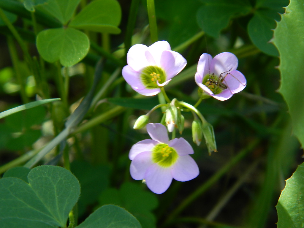 DSCN4915.jpg