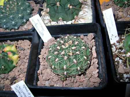 DSCN4920.JPG