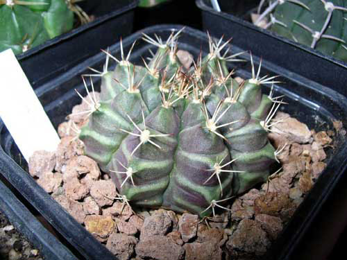 DSCN4928.JPG